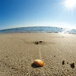 Summer Dream