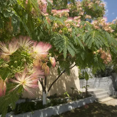 夏梦酒店 2* Vlachata