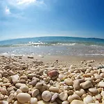 Summer Dream