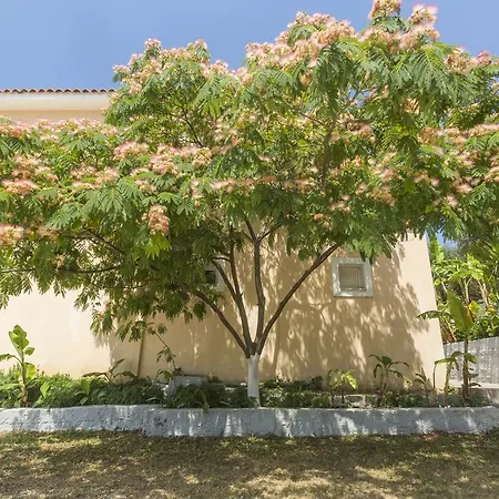 Lägenhetshotell Summer Dream 2*